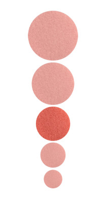 U – Podo disc BAF files M Ø20mm