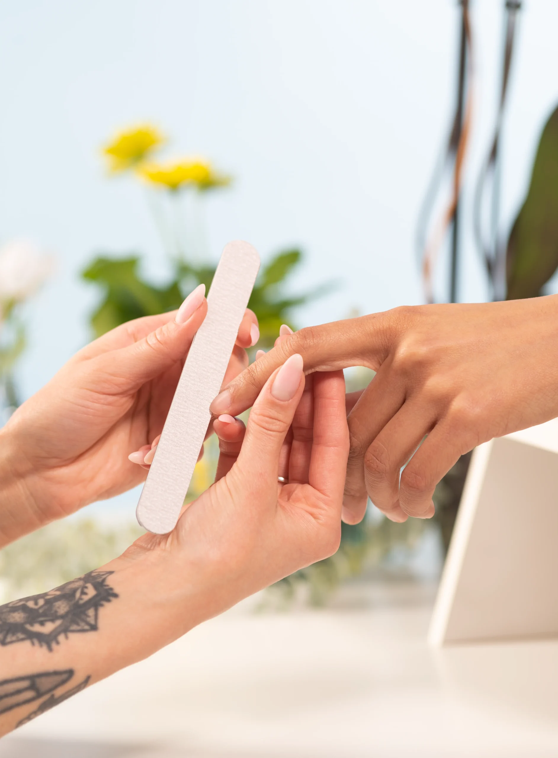 Contour Queen Urzo Interchangeable Nail Files Interchangeable Nail Files for Urzo Titanium Base Contour Queen